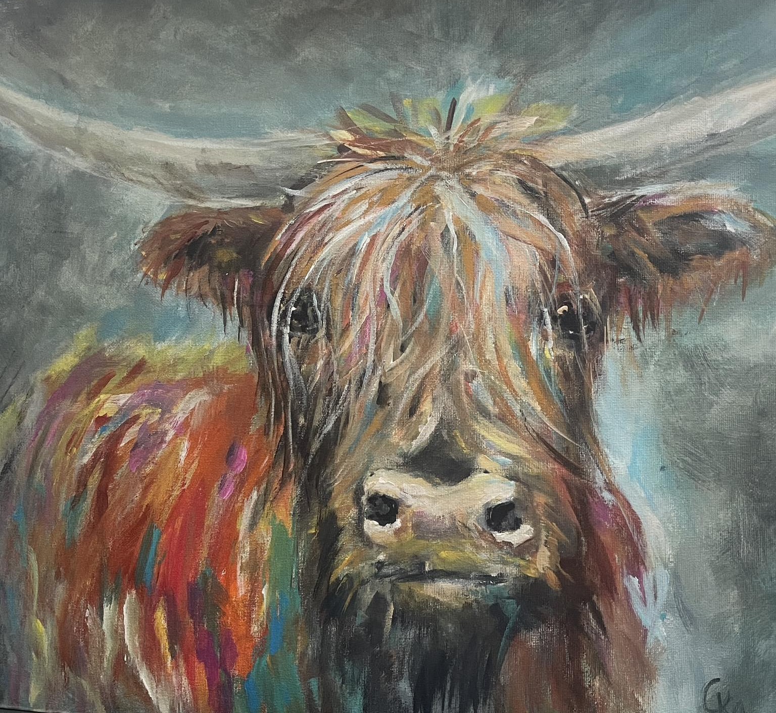 Cow Portrait